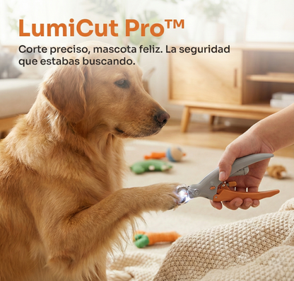 LumiCut Pro™